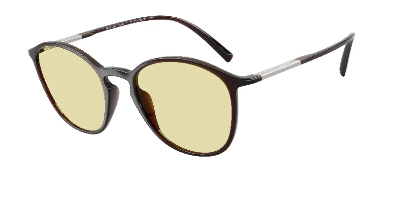 6239M4 - Brown - Photochromatic Brown