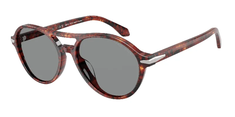 623402 - Tortoise - Blue
