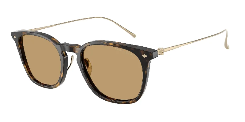 620773 - Tortoise - Brown