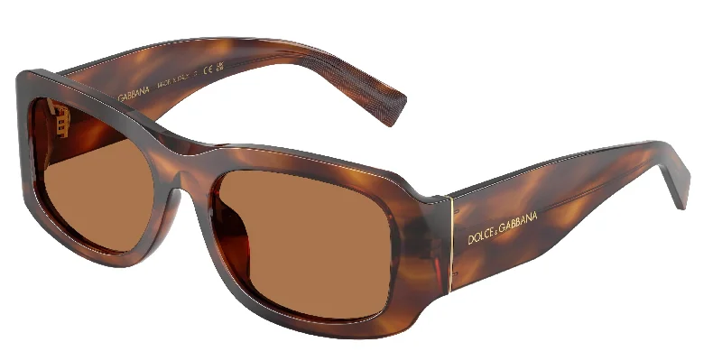 306373 - Tortoise - Bronze