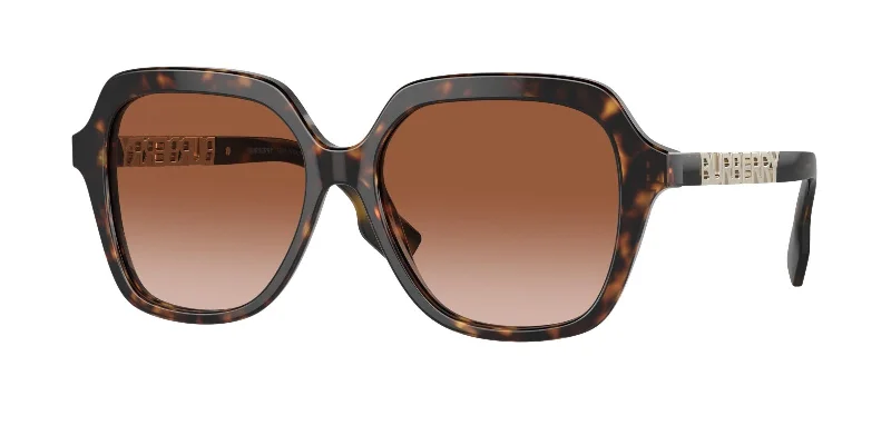 300213 - Brown - Brown Gradient