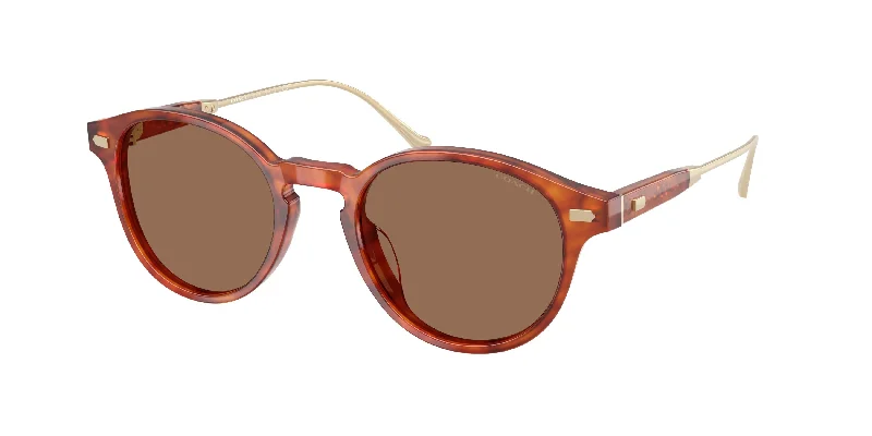 577473 - Tortoise - Brown Solid