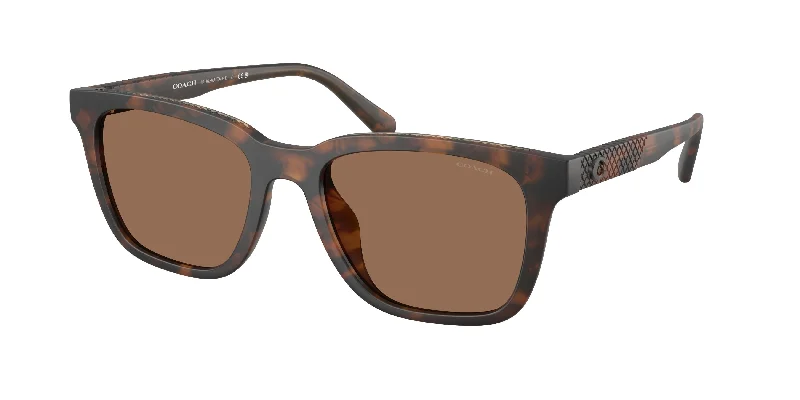 512073 - Tortoise - Brown Solid
